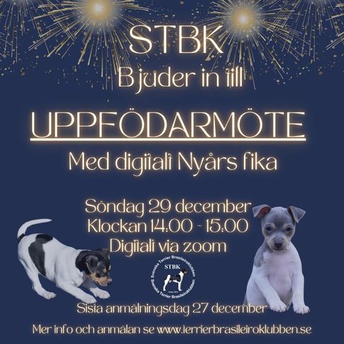 DigitalNyarsfika-29december