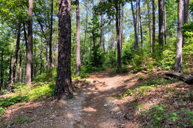 RV Travel Tips - Talladega RV Rental