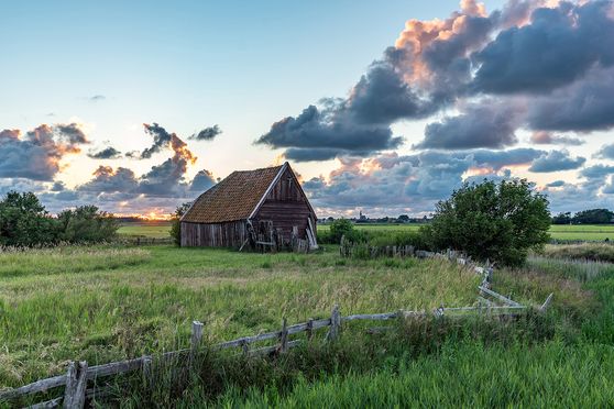 Kippenboet Den Hoorn zonsondergang 