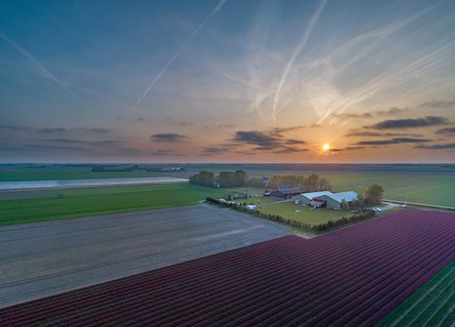 Camping Noorderwaard Texel 1