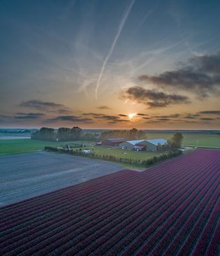 Camping Noorderwaard Texel 2