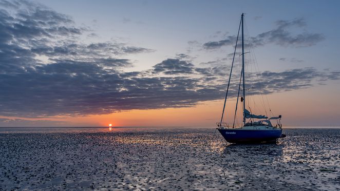 Aan het wad 03