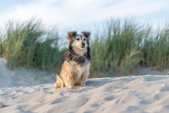 Cindy en Bert 05