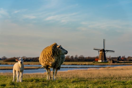 Moeder en dochter bij de molen 01