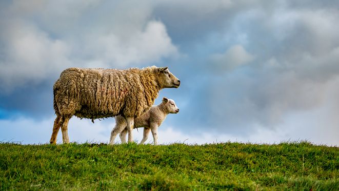 Moeder met dochter 01