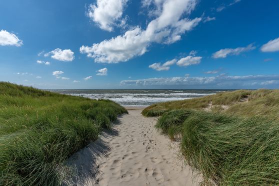 Paal 20.5 storm overdag