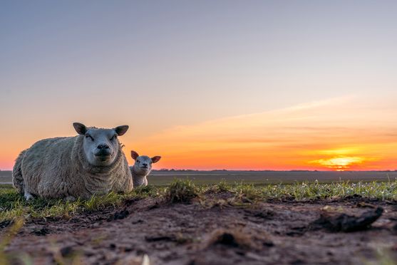 moeder en dochter zonsondergang 02