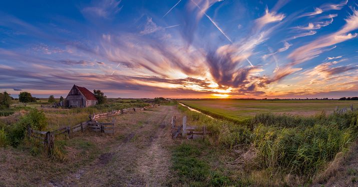 Schapenboet den hoorn bizarre lucht