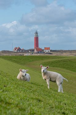 Texel xxl 01