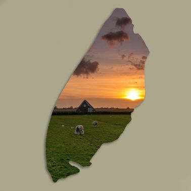 Texelplaat 014