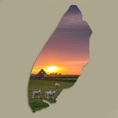 Texelplaat 015