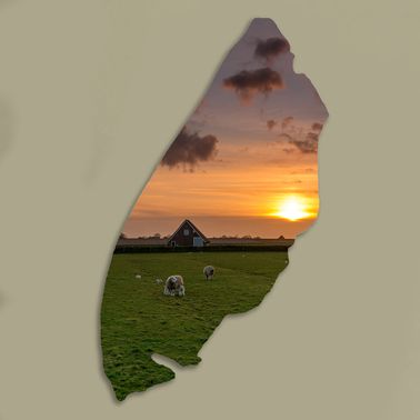 Texelplaat 016