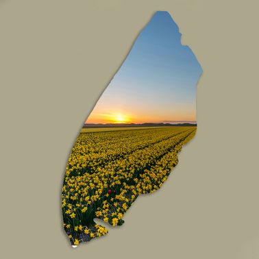 Texelplaat 040