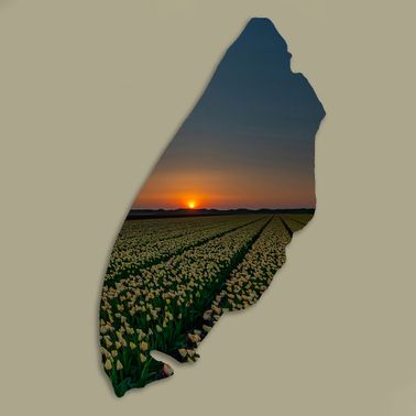 Texelplaat 044