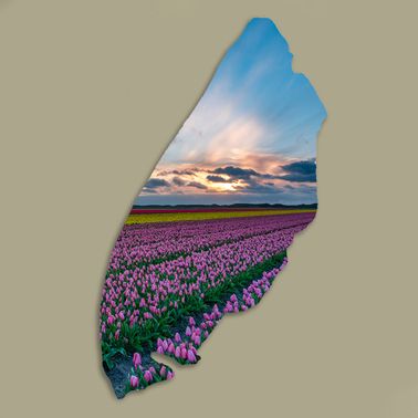 Texelplaat 099