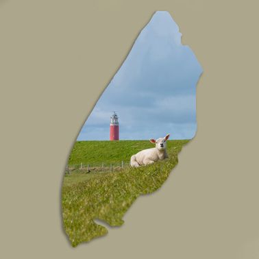 Texelplaat 190