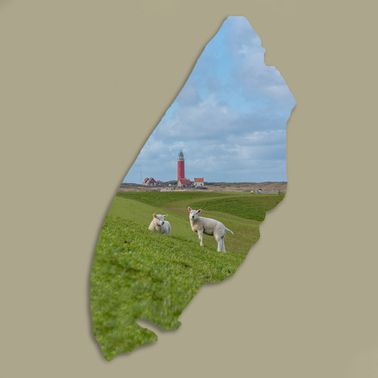 Texelplaat 191
