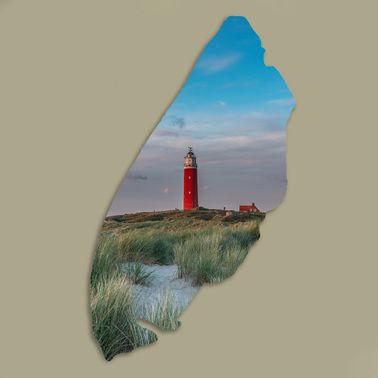 Texelplaat 205