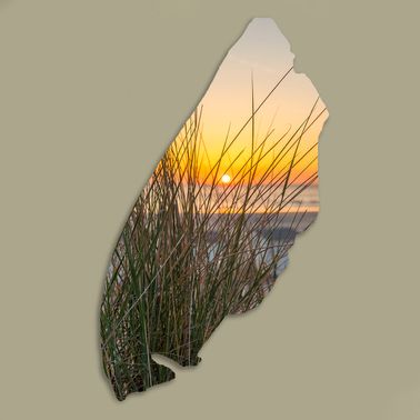 Texelplaat 216