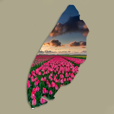 Texelplaat 224