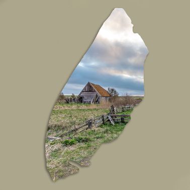 Texelplaat 230