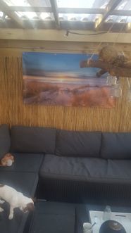 a wall of fame 031