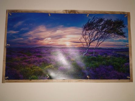 a wall of fame 067