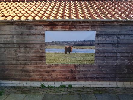 a wall of fame 083