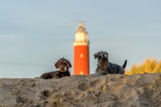 barry en eef 04
