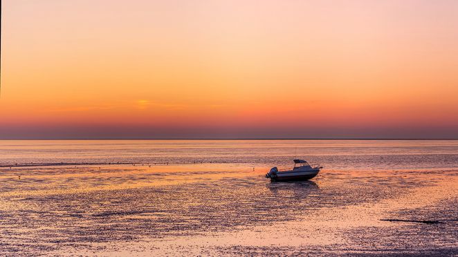 Aan het wad 01