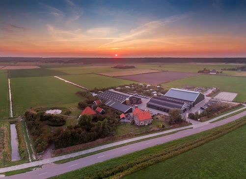 hoeve vrij en blij 01 zonsondegang