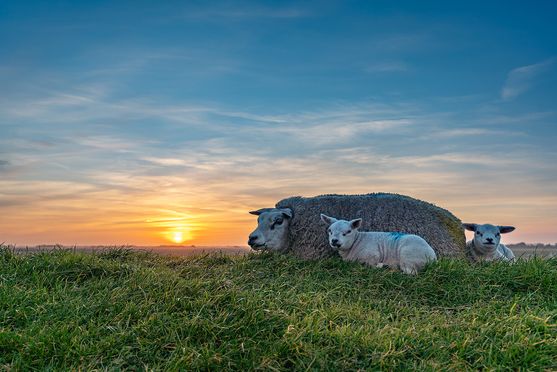 moeder en dochter zonsondergang 03