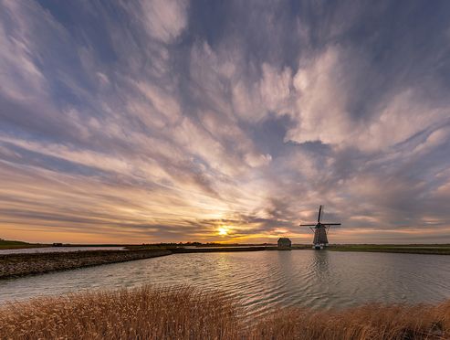 molen high sky