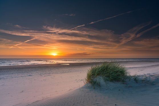 paal 15 Pluk mooi