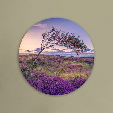 rond voorbeeld 012