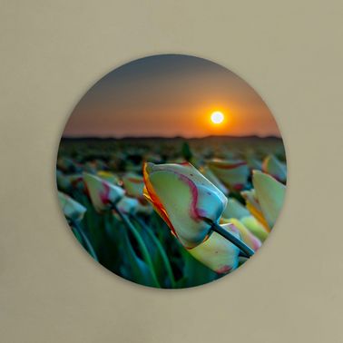 rond voorbeeld 057