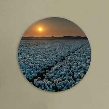 rond voorbeeld 060