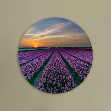 rond voorbeeld 061