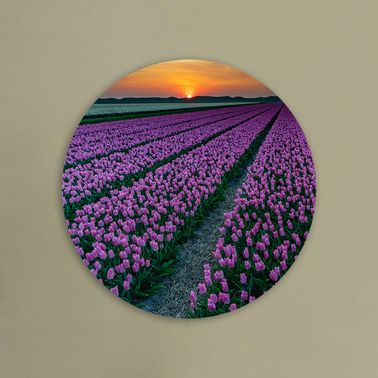 rond voorbeeld 062