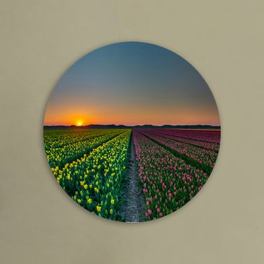 rond voorbeeld 064