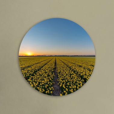 rond voorbeeld 065