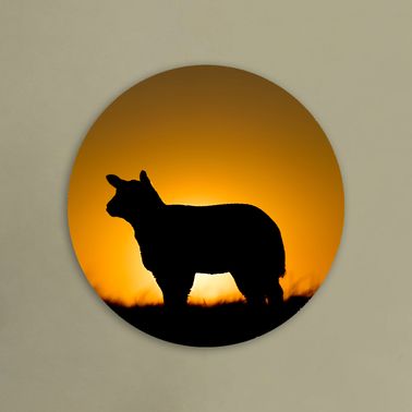 rond voorbeeld 105