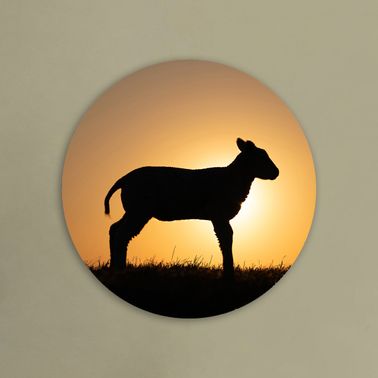 rond voorbeeld 106