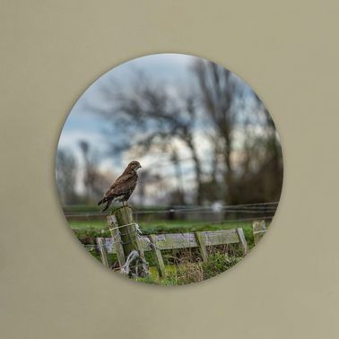 rond voorbeeld 108