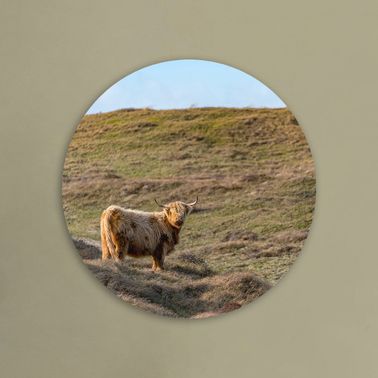 rond voorbeeld 110