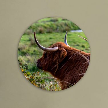 rond voorbeeld 111