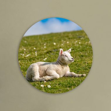 rond voorbeeld 112