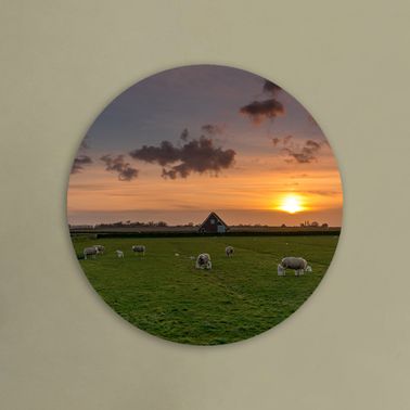 rond voorbeeld 124