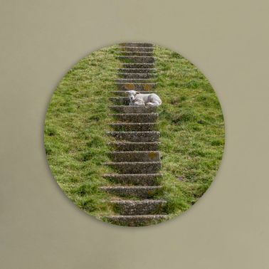 rond voorbeeld 137