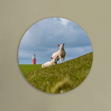 rond voorbeeld 139
